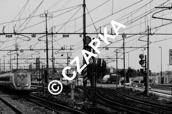 Alex Kowalczyk