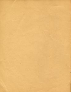 jednodniówka 5