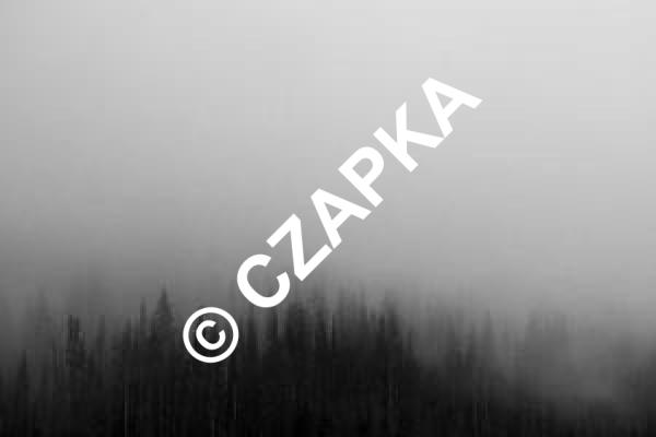 Ryszard Sawicka